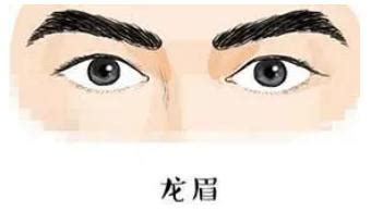 龍眉男|龙眉的男人好吗？龙眉男人的性格特征